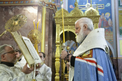 2026_01_17_002_09